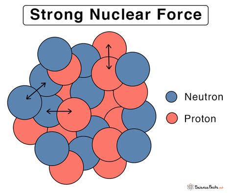 Strong nuclear force .